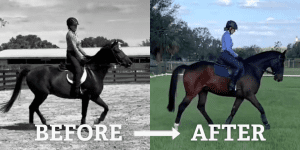 Split image shows a rider on a horse in a sandy arena labeled Before (left, black and white), and the same rider in a grassy field labeled After (right, color)—showcasing the transformation possible at our 5 day bootcamp. An arrow points from Before to After.