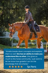 A smiling equestrian rides a chestnut horse in an outdoor arena. She wears a helmet, patterned shirt, and boots. A testimonial praises her equestrian training, with a five-star rating and the name Lisa Harris overlaid in a blue box.