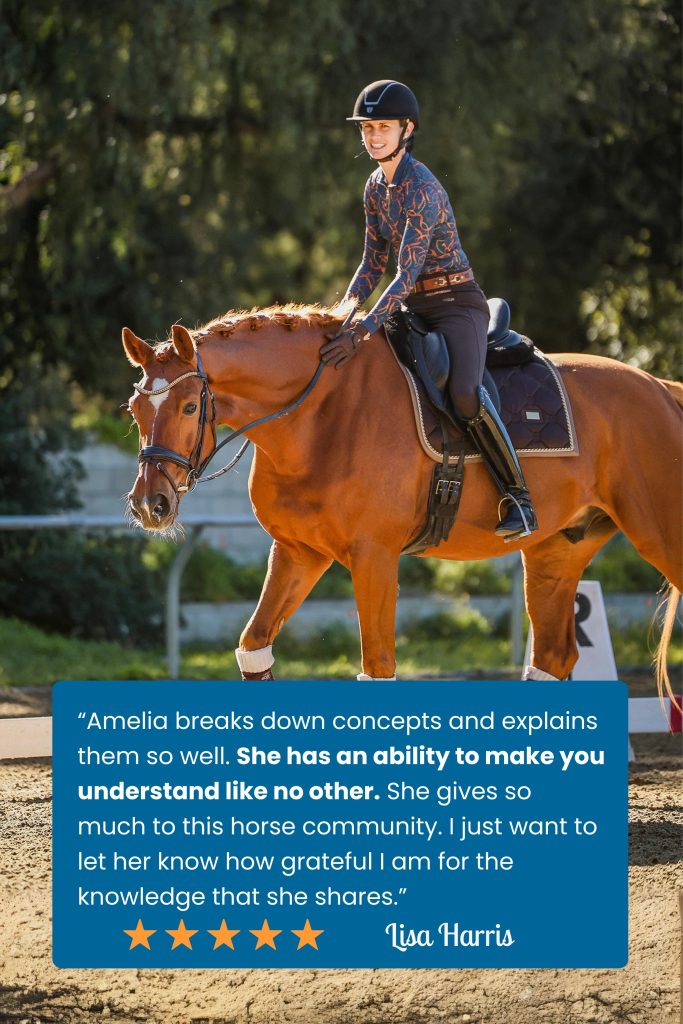 A smiling equestrian rides a chestnut horse in an outdoor arena. She wears a helmet, patterned shirt, and boots. A testimonial praises her equestrian training, with a five-star rating and the name Lisa Harris overlaid in a blue box.