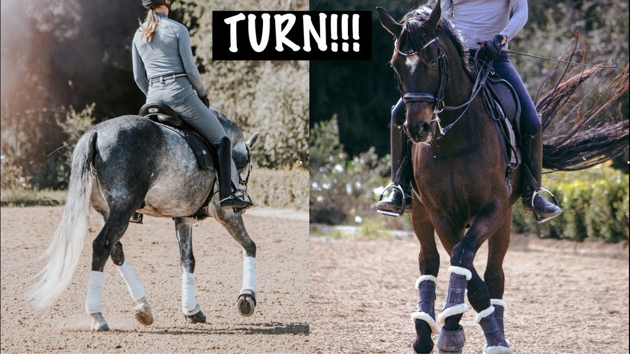 Two riders are each turning their horses in an arena. The left horse is grey and the right horse is dark brown. Both horses wear protective leg wraps and are ridden by people in helmets and riding gear. The word TURN!!! appears at the top.