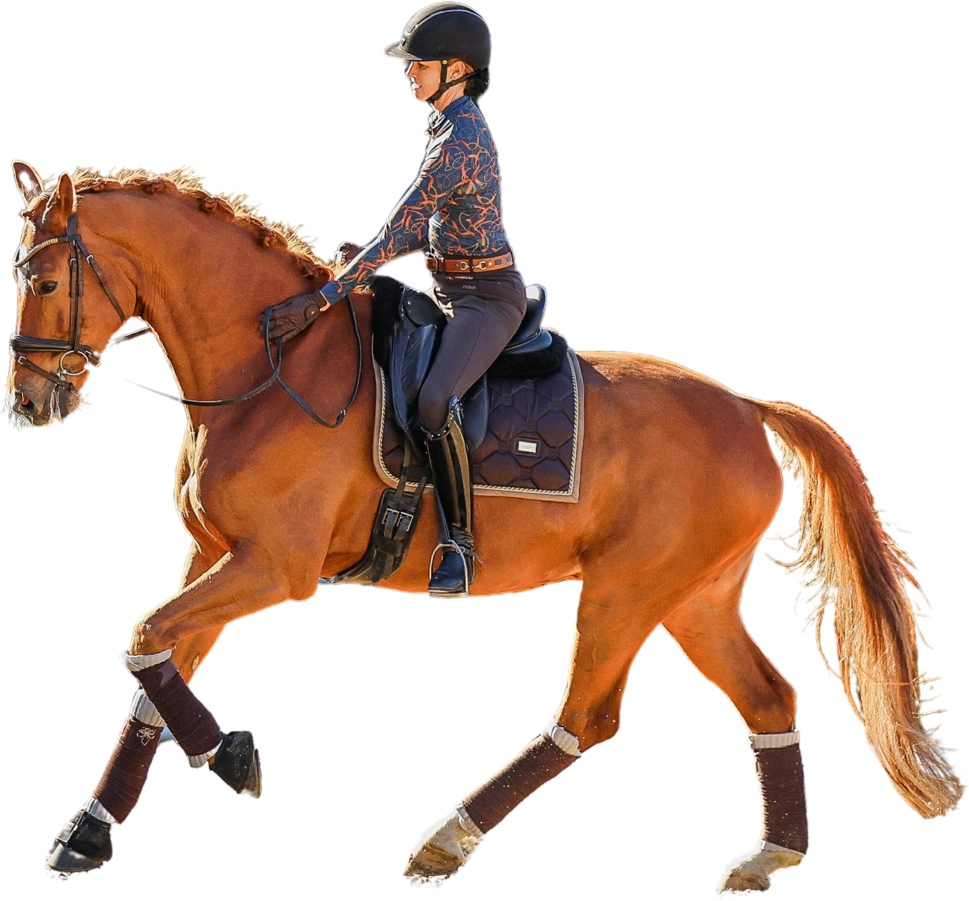 A person wearing a helmet and patterned jacket rides a brown horse in an English saddle, performing a dressage movement that reflects the 2024 Training Scale, with the horse’s front leg raised and tail flowing.