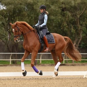 A woman wearing riding gear and a helmet is riding a chestnut horse with white markings on its legs. The horse is trotting in an outdoor arena, demonstrating the Training Scale, with trees in the background for this 2024 Sale Page.