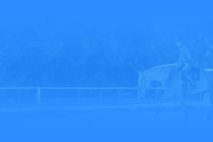 A person in equestrian gear rides a horse along a fenced outdoor arena, framed by trees in the background and a blue overlay, capturing the essence of the 2024 Training Scale.