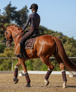 A rider in a helmet and patterned top rides a chestnut horse with bandaged legs in a sandy outdoor arena, showcasing the Training Scale, surrounded by lush trees under a clear 2024 sky—perfect for your Sale Page.