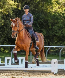 A person wearing a helmet and patterned shirt rides a chestnut horse during a 2024 dressage event, guiding the horse over white poles in an outdoor arena, demonstrating principles of the Training Scale with trees in the background.