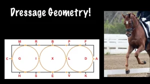 A diagram illustrating dressage geometry, including labeled points and a 20m circle, is shown beside a photo of a horse and rider performing dressage near a white fence. Perfect for learning to ride accurate patterns.