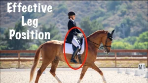 A rider in formal attire sits on a chestnut horse during a dressage event. The rider’s legs, highlighted with a red oval, showcase Effective Leg Position technique, with text reading Effective Leg Position on the left side of the image.
