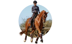 Rider improving dressage basics with a horse in the arena
