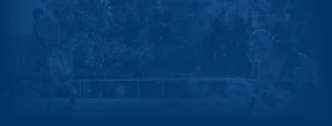 Two people ride horses in an outdoor arena, surrounded by trees. The muted details and colors, paired with a blue overlay, give the 2024 scene a unique look—perfect for illustrating training scale concepts on a sale page.