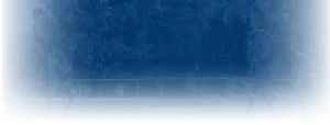 Two equestrians, each riding a horse, face one another in an outdoor arena with trees in the background. The image, featuring a blue overlay effect, could illustrate a 2024 Training Scale concept for your sale page.