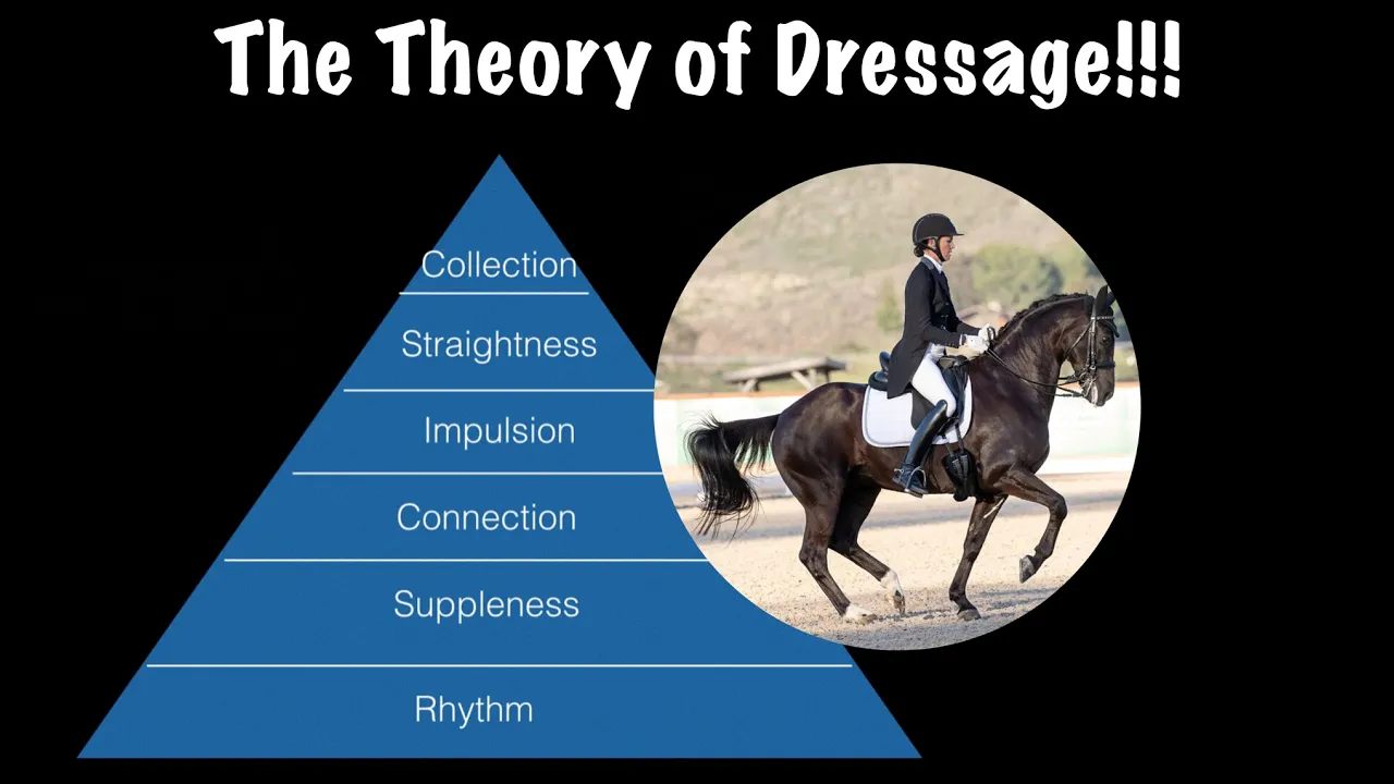 A pyramid labeled The Theory of Dressage highlights the key stages of dressage training. To the right, a rider in full gear rides a dark horse in an outdoor arena, illustrating core principles of equestrian theory in action.
