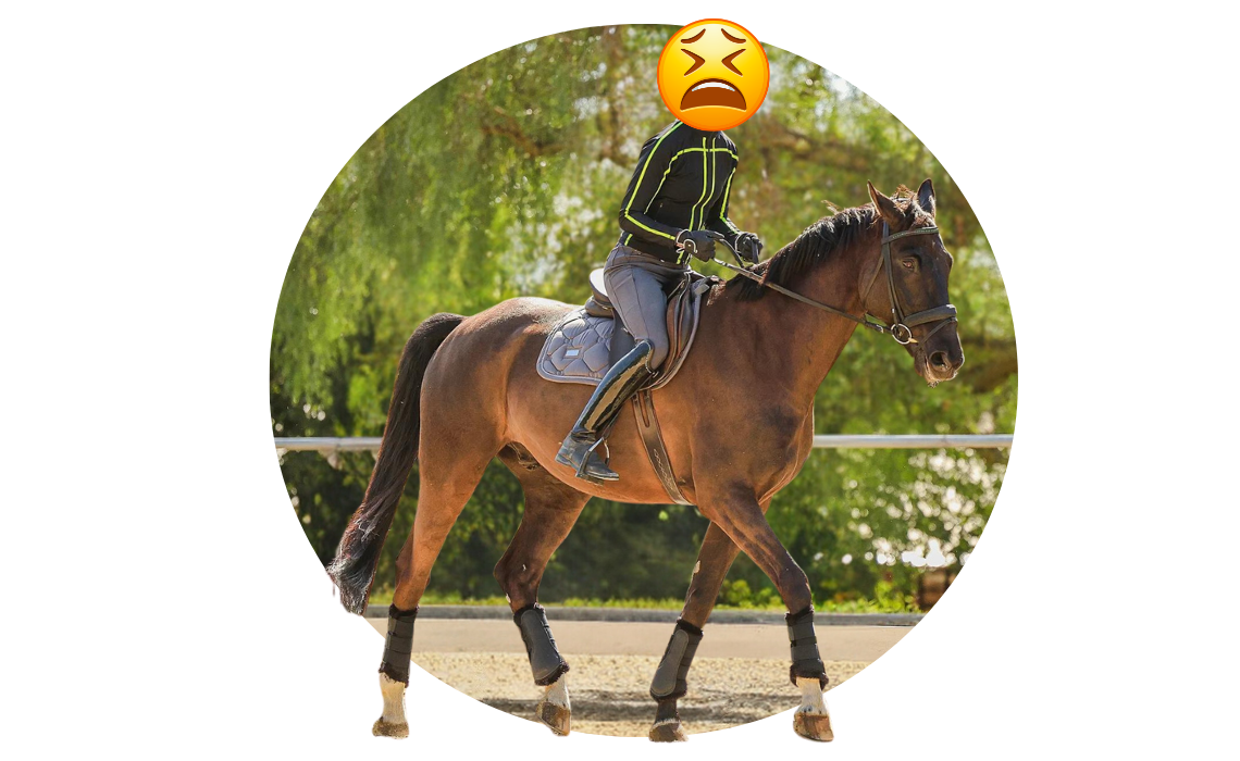 Rider improving dressage basics with a horse in the arena