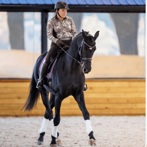 A person wearing a helmet and patterned shirt rides a black horse with white leg wraps inside an indoor arena with wooden walls and large windows during the Training Scale Masterclass 2024.