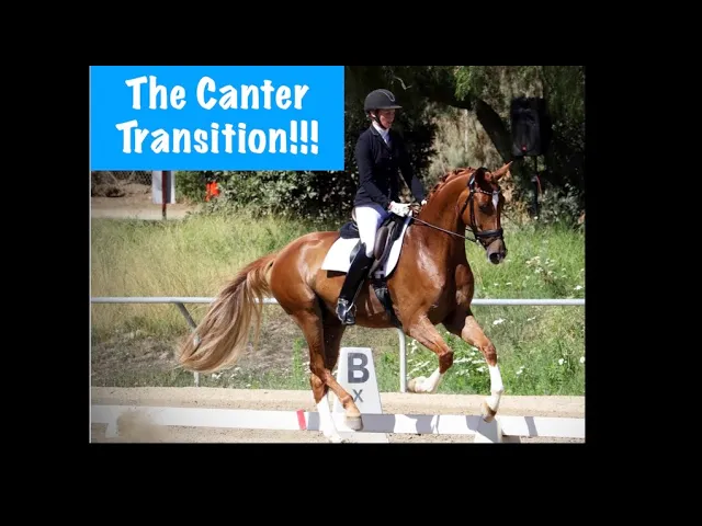 A rider in equestrian gear is guiding a chestnut horse past a B marker in a dressage arena, demonstrating a smooth canter transition. The text The Canter Transition!!! appears in a blue box at the top left.