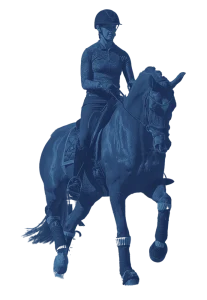 Training a brown horse in an outdoor arena to do dressage with concentration