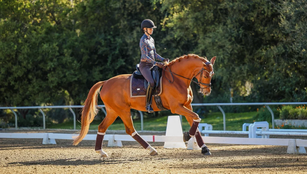 A person wearing a helmet and colorful long-sleeve shirt rides a chestnut horse in an outdoor 30DTR arena bordered by white fencing, with trees in the background.