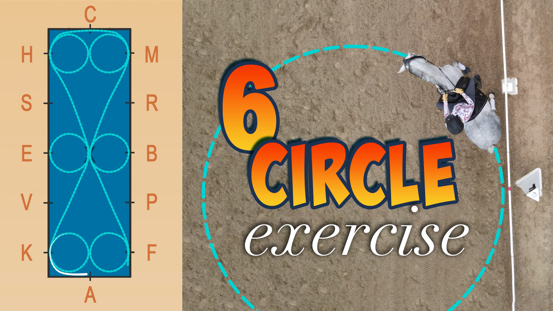 A diagram of a riding arena with six circles on the left and an overhead view of a focused horse and rider performing a circle exercise on the right, with text reading 6 Circle Exercise—perfect for practicing precise horse patterns.