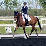 A rider in formal equestrian attire guides a brown horse along a dressage arena bordered by white fencing and letter markers P and PP, with green trees and grass in the background.