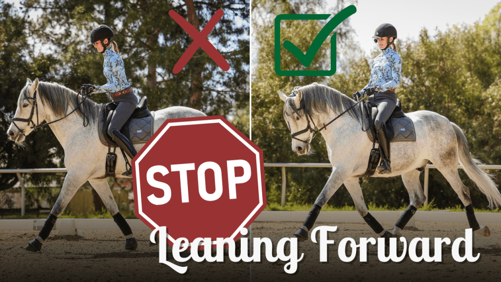 Split image of a rider on a gray horse; left shows “X” and “STOP” with rider leaning forward, right has a green check and correct upright posture. Text reads: “Stop Leaning Forward—sit back to feel secure in the saddle.”.
