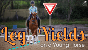 A rider in a colorful shirt practices leg yields on a young chestnut horse in an outdoor arena. Large text reads Leg Yields on a Young Horse with a yield sign in the background, highlighting essential horse training techniques.