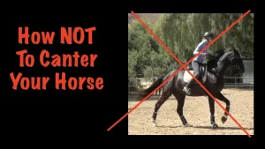 how not to canter