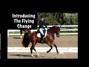 introducing the flying change