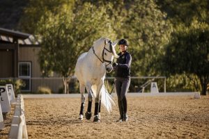 A person in equestrian gear teaches a white horse how to do a leg yield from the ground. Perfect for a round of fitness training over 30 days.