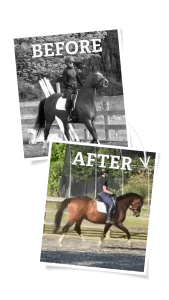 Two photos show a rider on a horse. The top, black-and-white image labeled BEFORE shows the horse walking. The bottom, color image labeled AFTER captures progress from the 30 Days to Round program, with the horse trotting in improved posture.