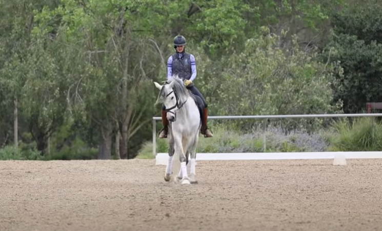 A person wearing a helmet rides a gray horse in a sandy outdoor arena, practicing lateral work, surrounded by trees and greenery in the background.