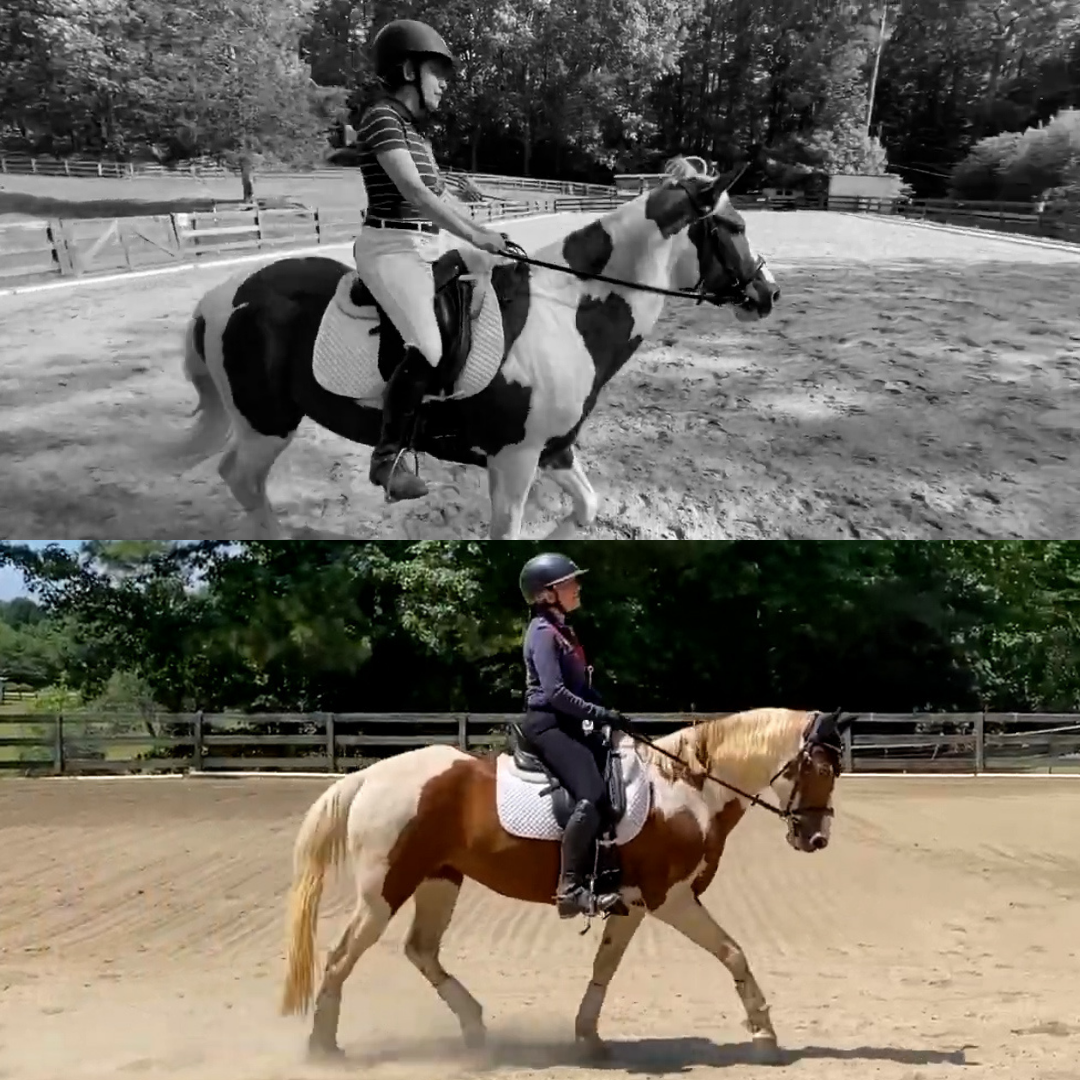 Two images show a person riding a horse in an outdoor arena. The top image is black and white with a rider on a black-and-white horse. The bottom image is in color, showing the same rider on a brown-and-white horse.