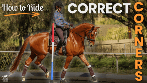 A rider in a helmet and patterned shirt guides a chestnut horse around a corner in an arena, demonstrating expert cornering techniques. Text on the image reads, How to Ride Correct Corners.