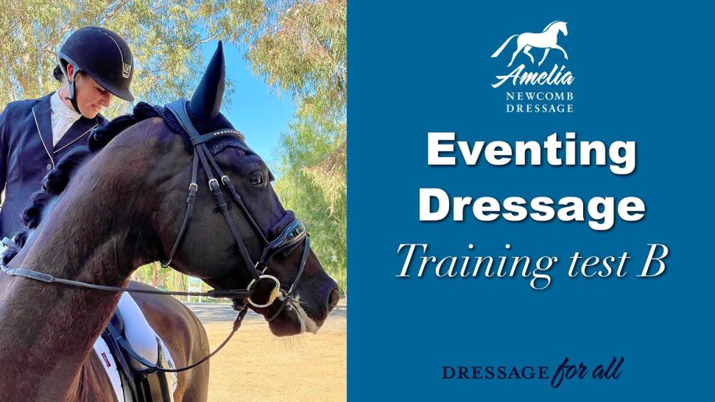 Eventing Dressage training test B