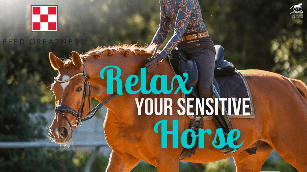A person riding a chestnut horse with a braided mane in an outdoor arena, accompanied by the text Relax Your Sensitive Horse, highlights thoughtful horse care and features a Feed Greatness logo in the corner.