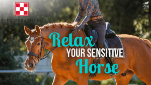 A person riding a chestnut horse with a braided mane in an outdoor arena, accompanied by the text Relax Your Sensitive Horse, highlights thoughtful horse care and features a Feed Greatness logo in the corner.
