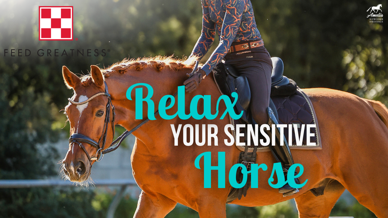 A person riding a chestnut horse with a braided mane in an outdoor arena, accompanied by the text Relax Your Sensitive Horse, highlights thoughtful horse care and features a Feed Greatness logo in the corner.