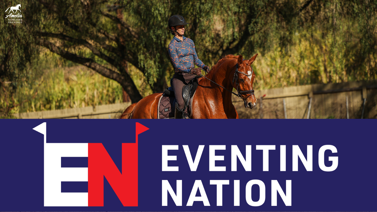 A person rides a chestnut horse outdoors, wearing a helmet and patterned shirt, showcasing the excitement of eventing. Below, a blue banner features the EN Eventing Nation logo in bold white and red letters. Trees and a fence are in the background.