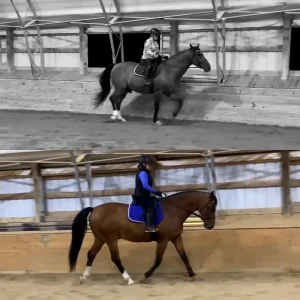 Split image of two people riding horses in indoor arenas. The top half is black and white, showing a rider in a plaid shirt; the bottom half is in color, showing a rider in a blue outfit and saddle pad.