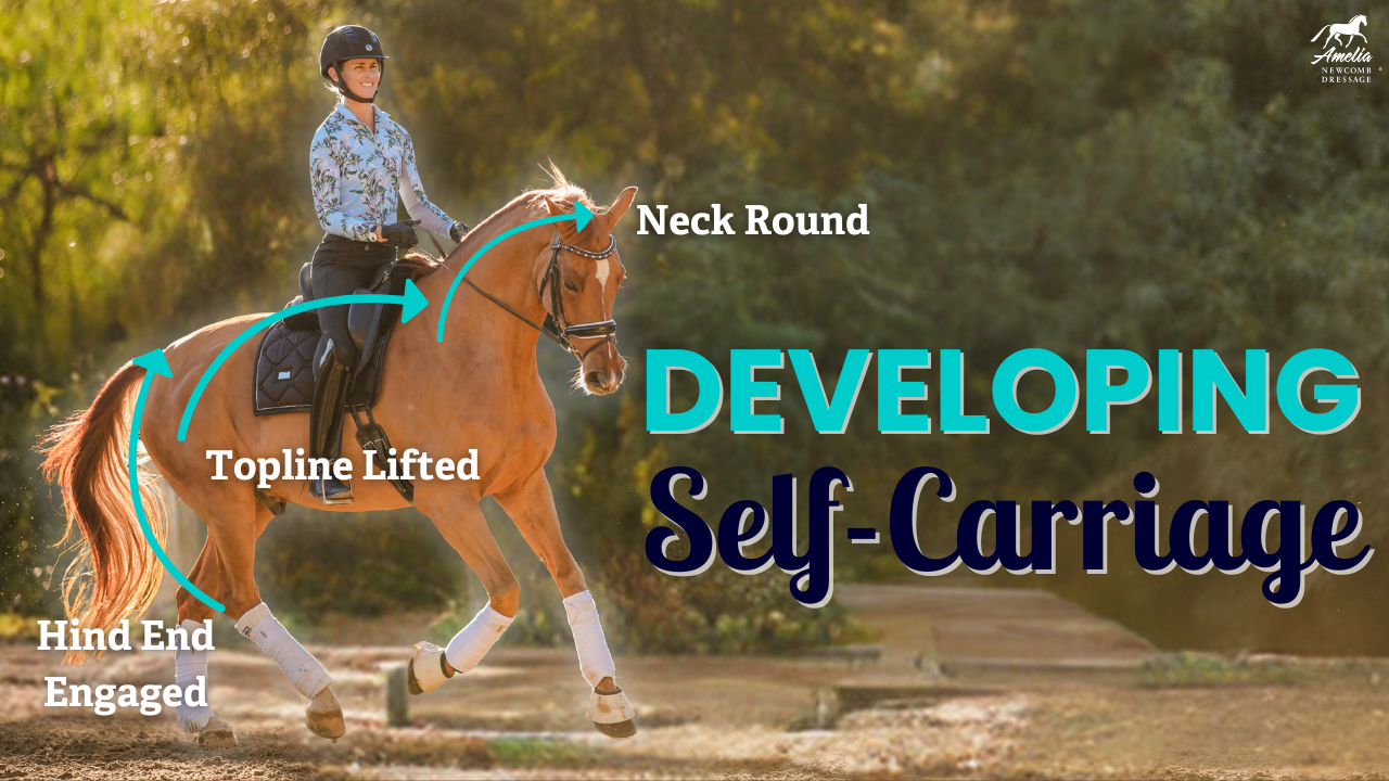 A rider demonstrates Self-Carriage during horse training on a chestnut horse. Arrows highlight the round neck, lifted topline, and engaged hind end. Text reads: Developing Self-Carriage. Sunlight filters through trees in the background.