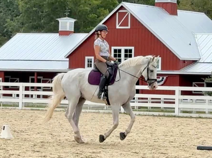 A person wearing a helmet and riding gear is riding a white horse in an outdoor arena, with a red barn and white fence in the background.