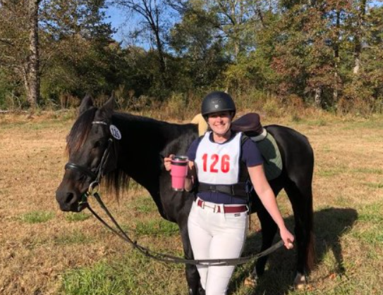 2024-09-23 22_16_06-Drop 1 - Dressage Academy Drive - Google Drive - Profile 1 - Microsoft​ Edge