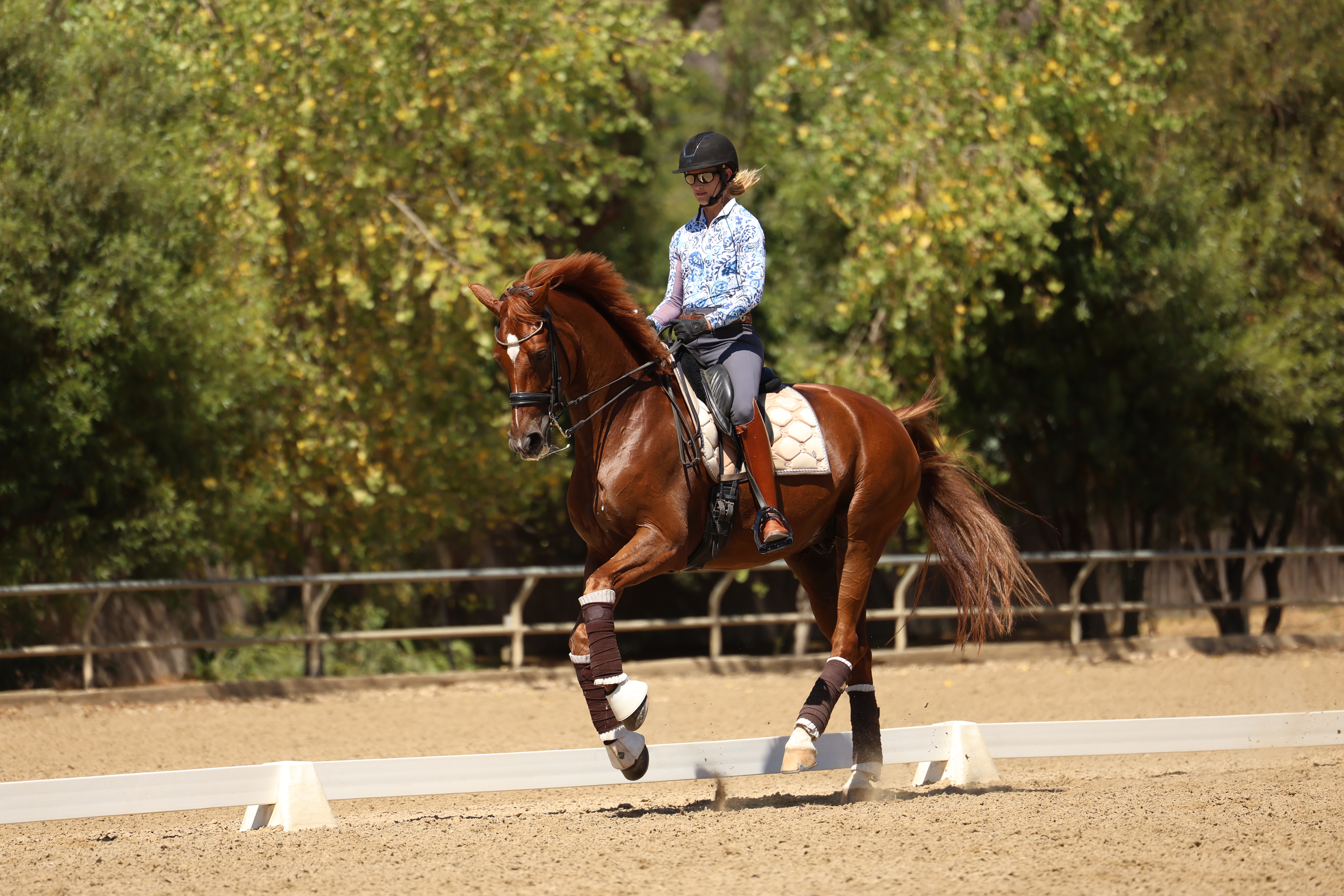A person wearing a helmet and patterned shirt rides a chestnut horse performing Free Flying Changes in dressage on a sandy arena, surrounded by green trees and a wooden fence.
