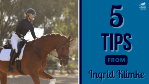 A woman in equestrian gear rides a brown horse outdoors. Next to her, text reads: 5 takeaways from Ingrid Klimke’s clinic, with the Arelis Hovgrosen Dressage logo above.
