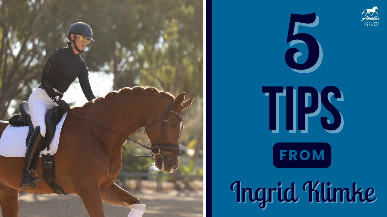 A woman in equestrian gear rides a brown horse outdoors. Next to her, text reads: 5 takeaways from Ingrid Klimke’s clinic, with the Arelis Hovgrosen Dressage logo above.
