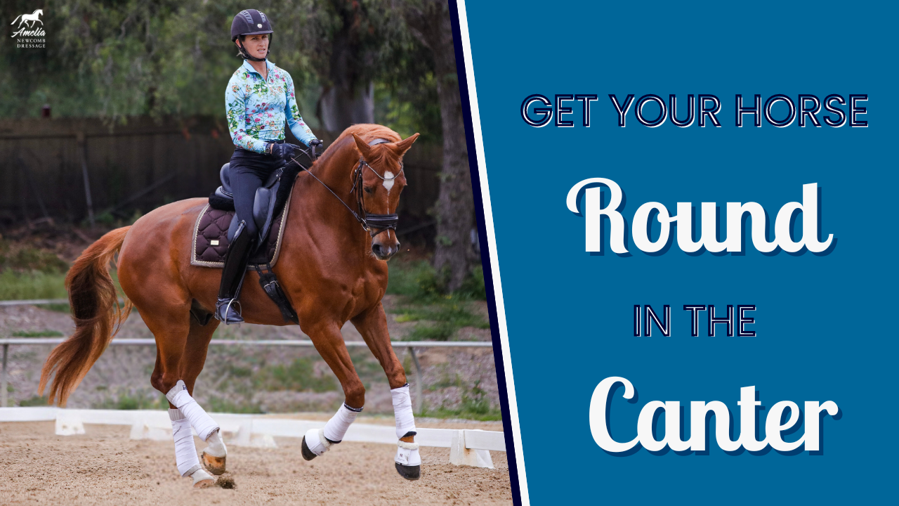 A rider in a patterned shirt and helmet rides a chestnut horse in an outdoor arena, working to get the horse round in the canter. Text on the right reads: Get your horse round in the canter.