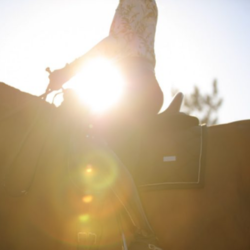 A person riding a horse with an independent seat is silhouetted against the bright sun, creating a lens flare effect. The rider is wearing a patterned shirt and sitting in a saddle. The background is softly lit and slightly blurred.