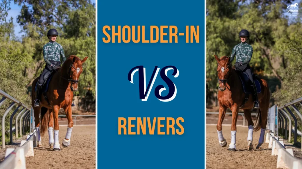 Split image showing a rider performing shoulder-in on a horse to the left and renvers to the right, highlighting these essential dressage movements. "Shoulder-In vs Renvers" appears in bold orange letters on a blue background in the center.