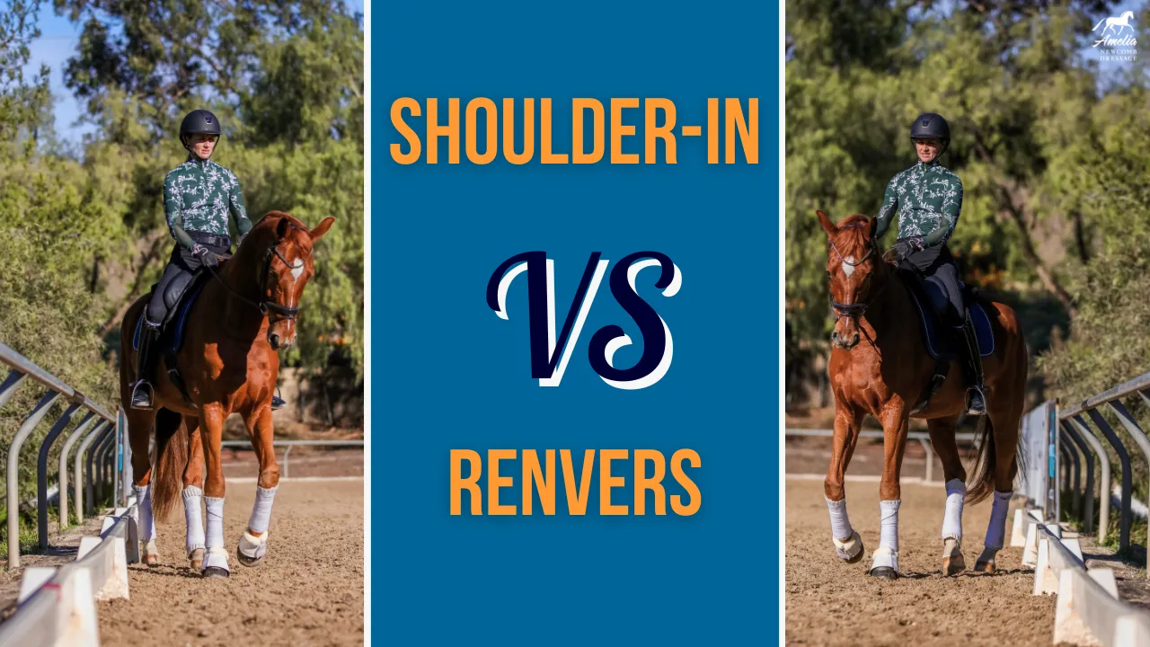 Split image showing a rider performing shoulder-in on a horse to the left and renvers to the right, highlighting these essential dressage movements. "Shoulder-In vs Renvers" appears in bold orange letters on a blue background in the center.