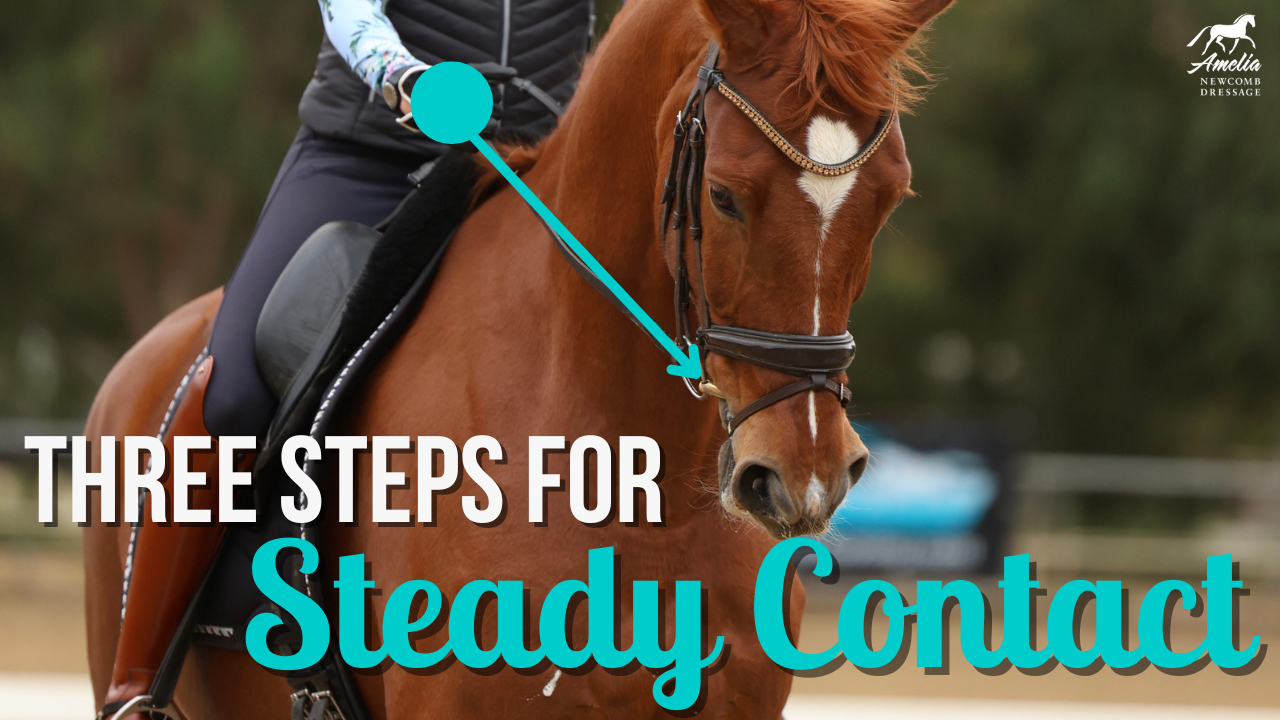 A rider guides a chestnut horse in a dressage bridle, with text overlay: “Three Steps for Steady Contact.” An arrow points to the horse’s mouth, highlighting the contact process for achieving steady contact.