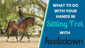 What to do with your hands in sitting trot