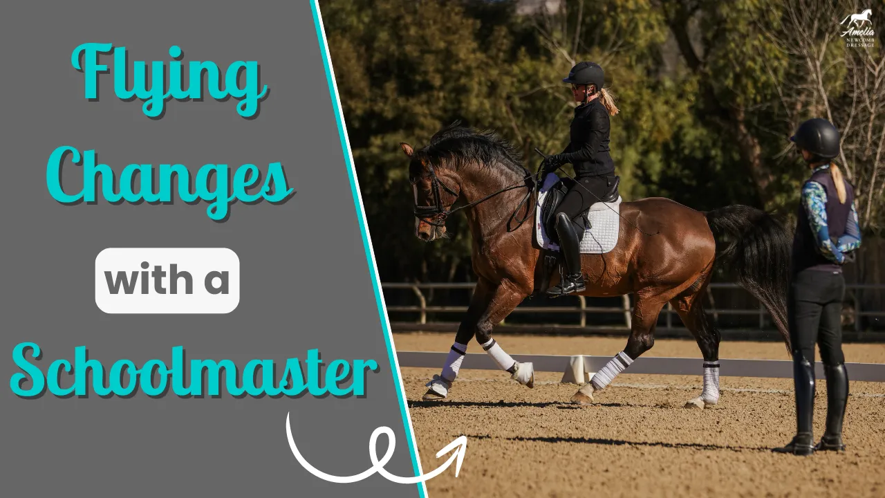 A person is riding a dark brown horse in an outdoor arena, practicing Flying Changes with a Schoolmaster. Text on the left reads, "Flying Changes with a Schoolmaster." Another person observes nearby; trees and a fence line the background.